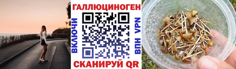 где купить наркоту  Бузулук  Псилоцибиновые грибы MAGIC MUSHROOMS 