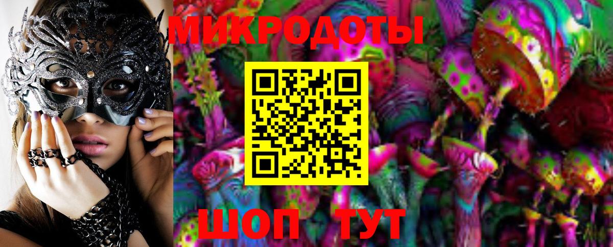 Псилоцибиновые грибы Psilocybine cubensis Бузулук