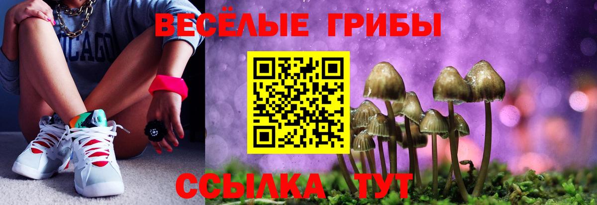 закладка  Псилоцибиновые грибы мицелий  Бузулук  Псилоцибиновые грибы ЛСД 