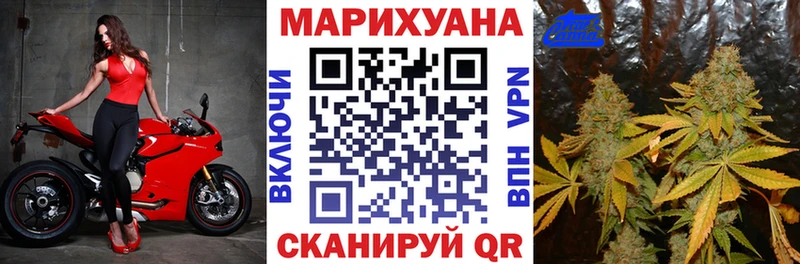 Бошки Шишки гибрид Бузулук