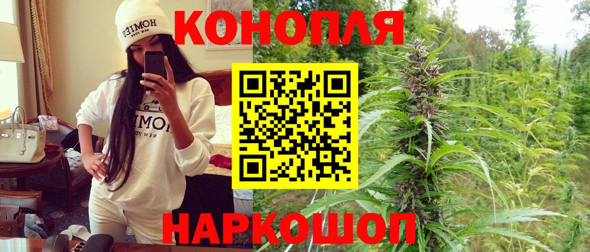 Конопля конопля Бузулук